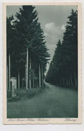 0-3700 WERNIGERODE - DREI-ANNEN-HOHNE, Hohneweg, 1929
