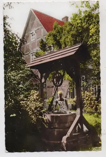3030 WALSRODE, Klosterbrunnen, 1964