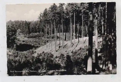 2107 ROSENGARTEN, Forst Rosengarten, Diebeskuhlen