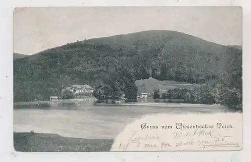 3422 BAD LAUTERBERG, Gruss vom Wiesenbecker Teich, 1903
