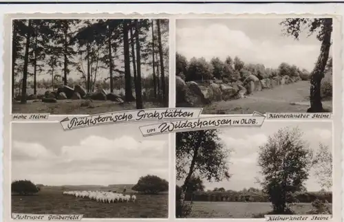 HÜNENGRAB / DOLMEN / MENHIR, Wildeshausen, Sieben Steine / Kleinknetener Steine / Pestruper Gräberfeld