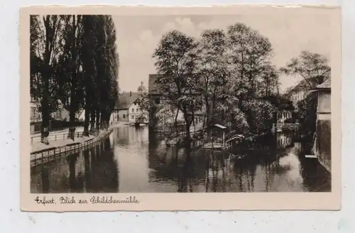 0-5000 ERFURT, Blick zur Schildchenmühle, Verlag Trinks & Co.