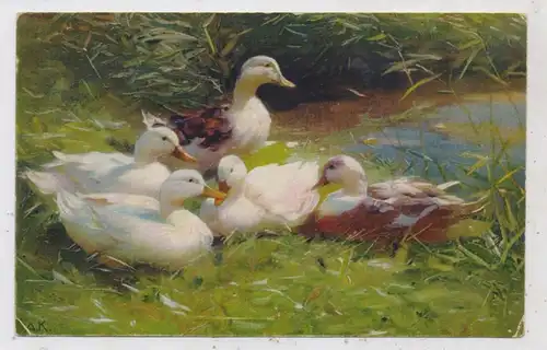 KÜNSTLER / Artist - ALEXANDER KÖSTER, "Enten um Ufer", Meissner & Buch Serie 2571