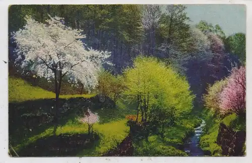 PHOTOCHROMIE - Verlag NENKE & OSTERMAIER, Bachlauf im Frühling, Serie 275 # 4276, kl. Druckstelle