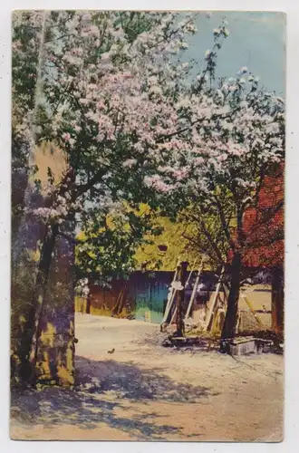 PHOTOCHROMIE - Verlag NENKE & OSTERMAIER, Bauernhof und Baumblüte, Serie 275 # 4283