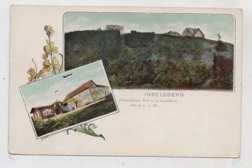 0-5804 FRIEDRICHRODA - FINSTERBERGEN, Inselsberg, Preussischer Hof, ca. 1905