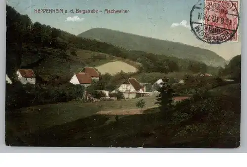 6148 HEPPENHEIM, Fischweiher, 1910