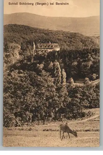 6140 BENSHEIM, Schloß Schönberg, Verlag Gerling