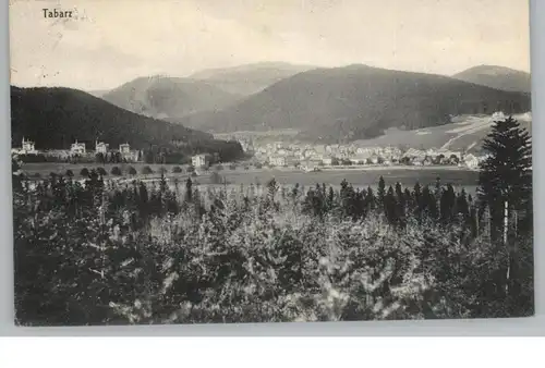 0-5808 TABARZ, Blick über den Ort, 1911, Verlag Neumann