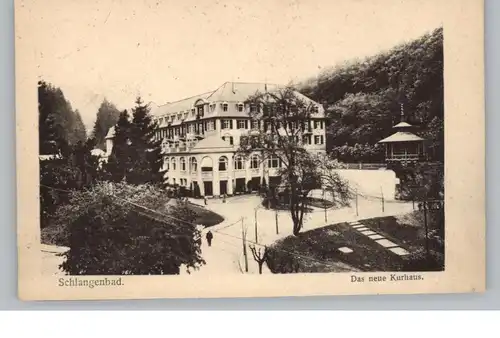 6229 SCHLANGENBAD, Das neue Kurhaus, Verlag Fröhlich