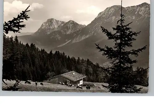 8221 INZELL, Bäckeralm, Zwiesel, Hochstaufen, 1965