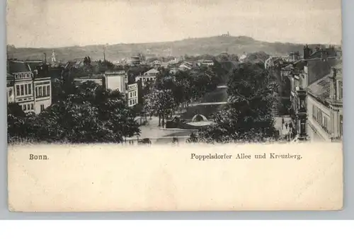 5300 BONN, Blick auf Poppelsdorfer Allee und Kreuzberg, 1904, Verlag Dienst