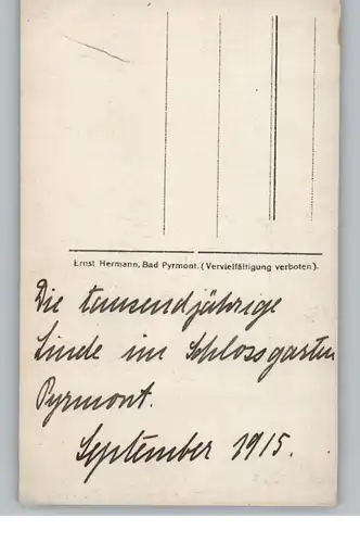 3280 BAD PYRMONT, Die 1000 jährige Linde im Schloßpark Pyrmont, 1915, Photo-AK