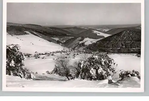 3542 WILLINGEN, Blick vom Ettelsberg, 1951