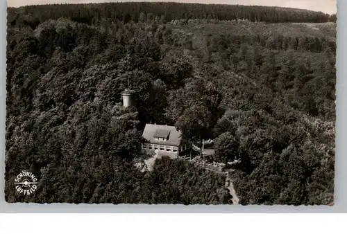 3490 BAD DRIBURG, Iburgplateau mit der Sachsenklause, Luftaufnahme, 1956