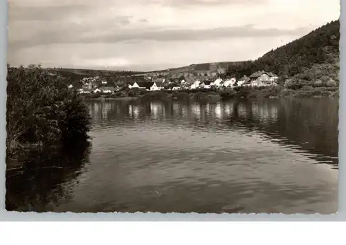 5500 TRIER - RUWER, Blick über die Mosel