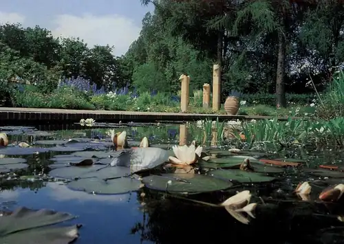 4000 DÜSSELDORF, Ereignis, BUGA 1987, Rittersporn Garten