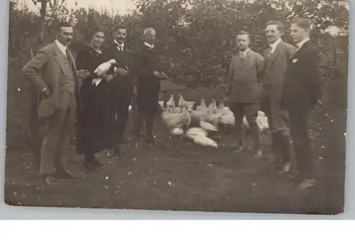 SOCIAL LIFE - Familie mit Enten und Hühnern