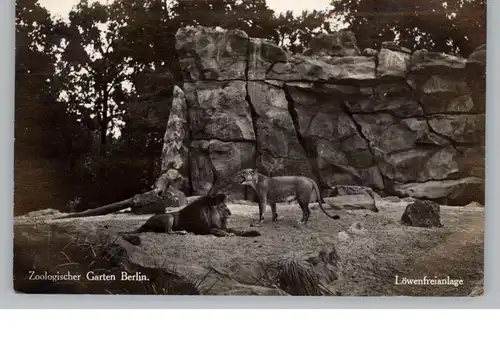 1000 BERLIN - TIERGARTEN, Zoo, Löwenfreianlage