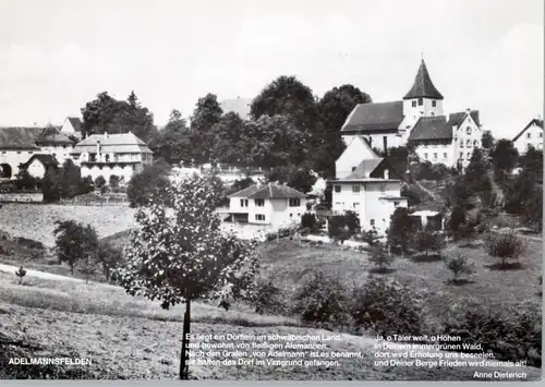 7099 ADELMANNSFELDEN, Blick über den Ort