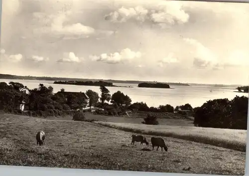 DK 6400 SONDERBORG- RINKENAES, Ranshoved