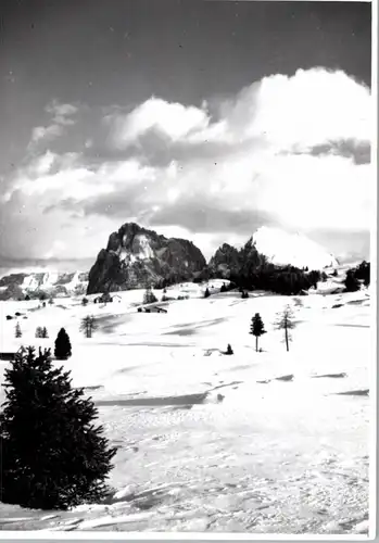 I 39040 KASTELRUTH, Seiseralm / Umgebung, Photo-AK 1965