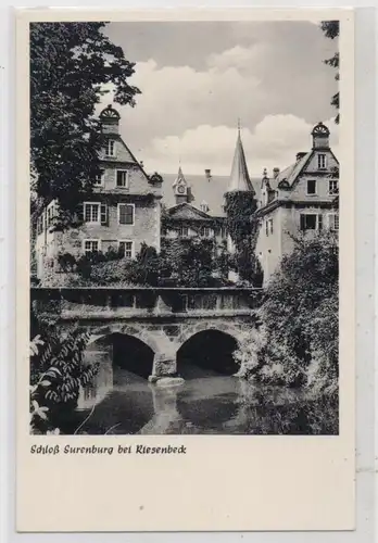 4446 HÖRSTEL - RIESENBECK, Schloß Surenburg