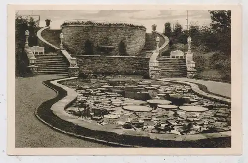 4300 ESSEN, GRUGA  1929, Staudenlichtung, Victoria-Regia-Becken