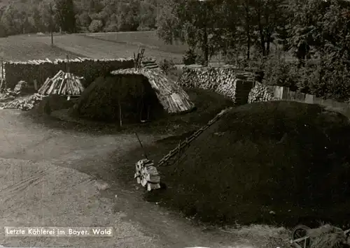 8377 FRAUENAU - ZWIESELAU, Köhlerei Oskar Häusler