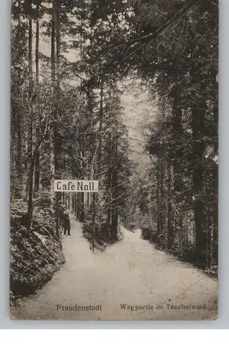 7290 FREUDENSTADT, Cafe Noll im Teuchelwald, 1910, kl. Druckstelle