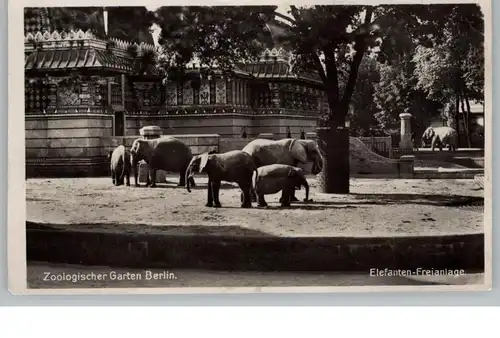 1000 BERLIN - TIERGARTEN, Zoo, Elefanten - Freianlage