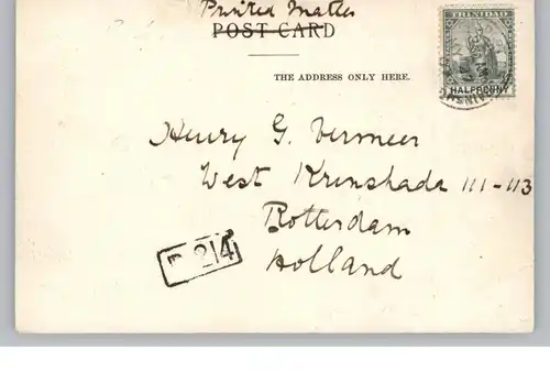 TRINIDAD - Pitch Lake, 1905