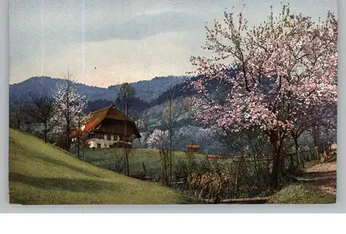 PHOTOCHROMIE - Verlag NENKE & OSTERMAIER, Bauernhof im Frühling, Serie 167 # 2981