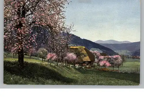 PHOTOCHROMIE - Verlag NENKE & OSTERMAIER, Bauernhof im Frühling, Serie 167 # 2980