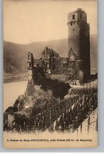 6220 RÜDESHEIM, Burg Ehrenfels, Weinbau, 20er Jahre