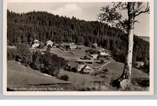 7824 HINTERZARTEN, Blick über den Ort, 1955