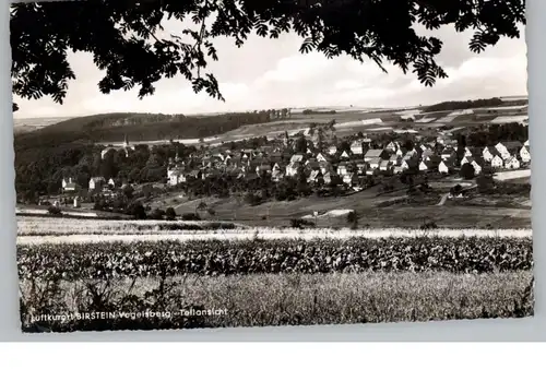 6484 BIRSTEIN, Blick über den Ort, 196...