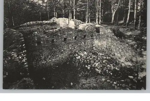 3388 BAD HARZBURG, Ruine der Kaiser Heinrichsburg auf dem Burgberg