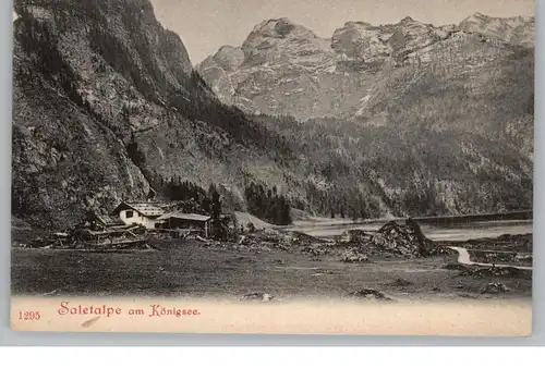 8240 BERCHTESGADEN, Saletalpe, ca. 1905