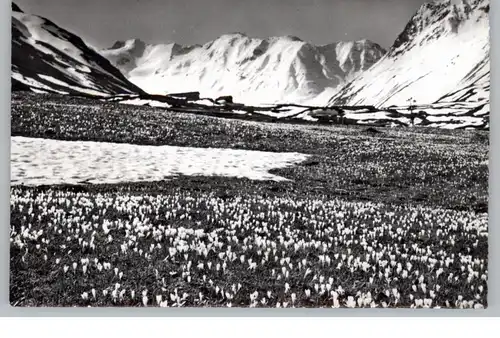 CH 7260 DAVOS GR, Frühling im Dischmatal