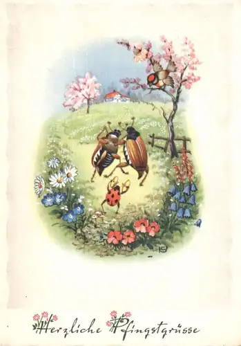 PFINGSTEN, Tanzende Marien- und Maikäfer