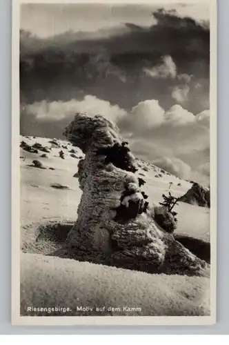 NIEDER - SCHLESIEN - PETERSDORF / PIECHOWICE, Motiv auf dem Kamm, 1932, Verlag Höckendorf