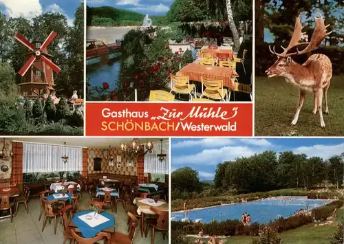 6348 HERBORN - SCHÖNBACH, Gasthaus Zur Mühle