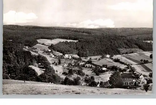 6124 BEERFELDEN - FALKEN - GESÄSS, Gasthaus Zum Schlawitzer, 1963