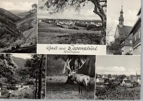 6223 LORCH - ESPENSCHIED, Gruß aus...1965