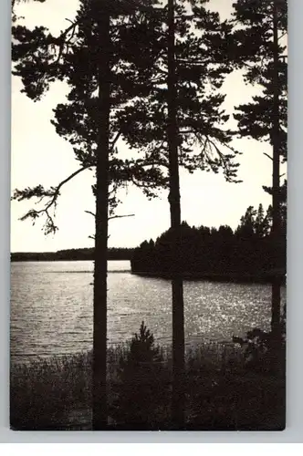 SUOMI / FINLAND - Kristillisen Ylioppilasliiton leirikylä Teiniharju