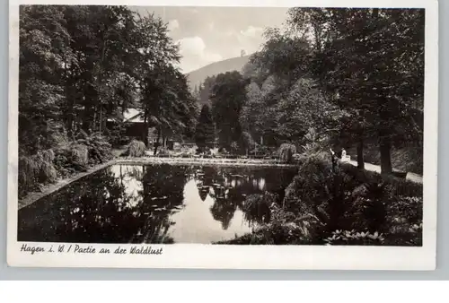 5800 HAGEN, Partie an der Waldlust, 1951