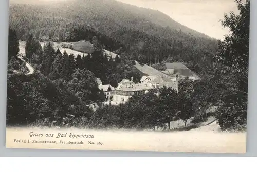 7624 BAD RIPPOLDSAU, Gruss aus... Blick auf den Ort, ca. 1905