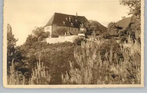 7403 AMMERBUCH - ENTRINGEN, Gastwirtschaft Hohenentringen, Photo-AK