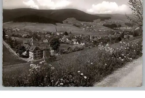 7292 BAIERSBRONN, Blick über den Ort 1958